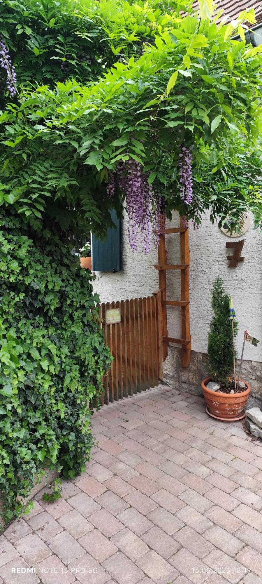 Ferienwohnung Geiernest Ochsenfurt Exterior foto